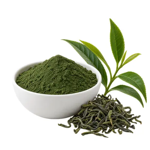 Green Tea Extract in Wellaray Slim Coffee Booster